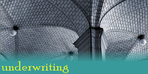 Technology Underwriting